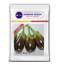 Brinjal Sarpan 50